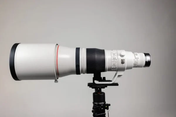 Canon RF 400mm f/2.8 L IS USM