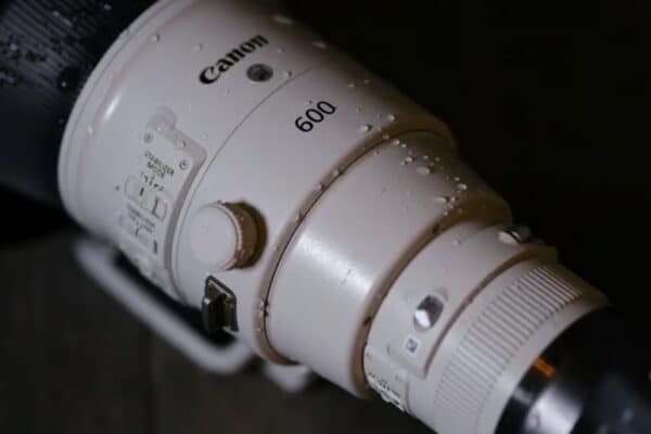 Canon RF 600mm f/4 L IS USM