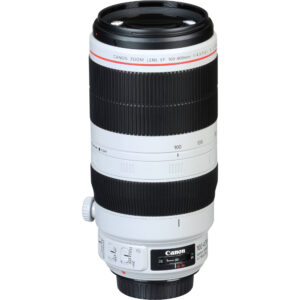 Canon 100-400mm f/4.5-5.6L IS II USM