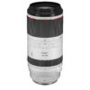 Canon RF 100-500mm f/4.5-7.1 L IS USM