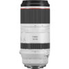 Canon RF 100-500mm f/4.5-7.1 L IS USM