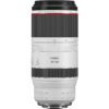 Canon RF 100-500mm f/4.5-7.1 L IS USM