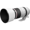 Canon RF 100-500mm f/4.5-7.1 L IS USM