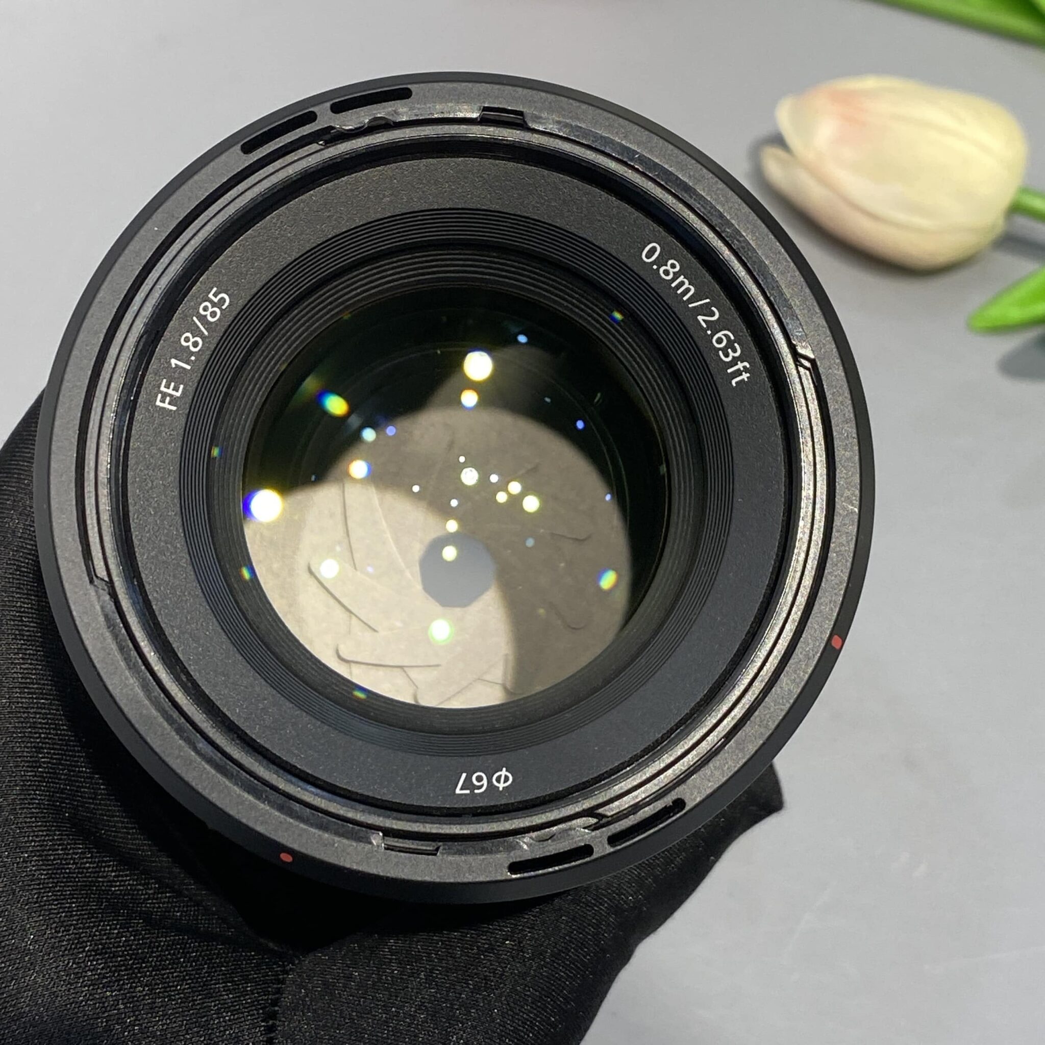 Sony FE 85mm F1.8 | 2nd #7308 - Ảnh 4