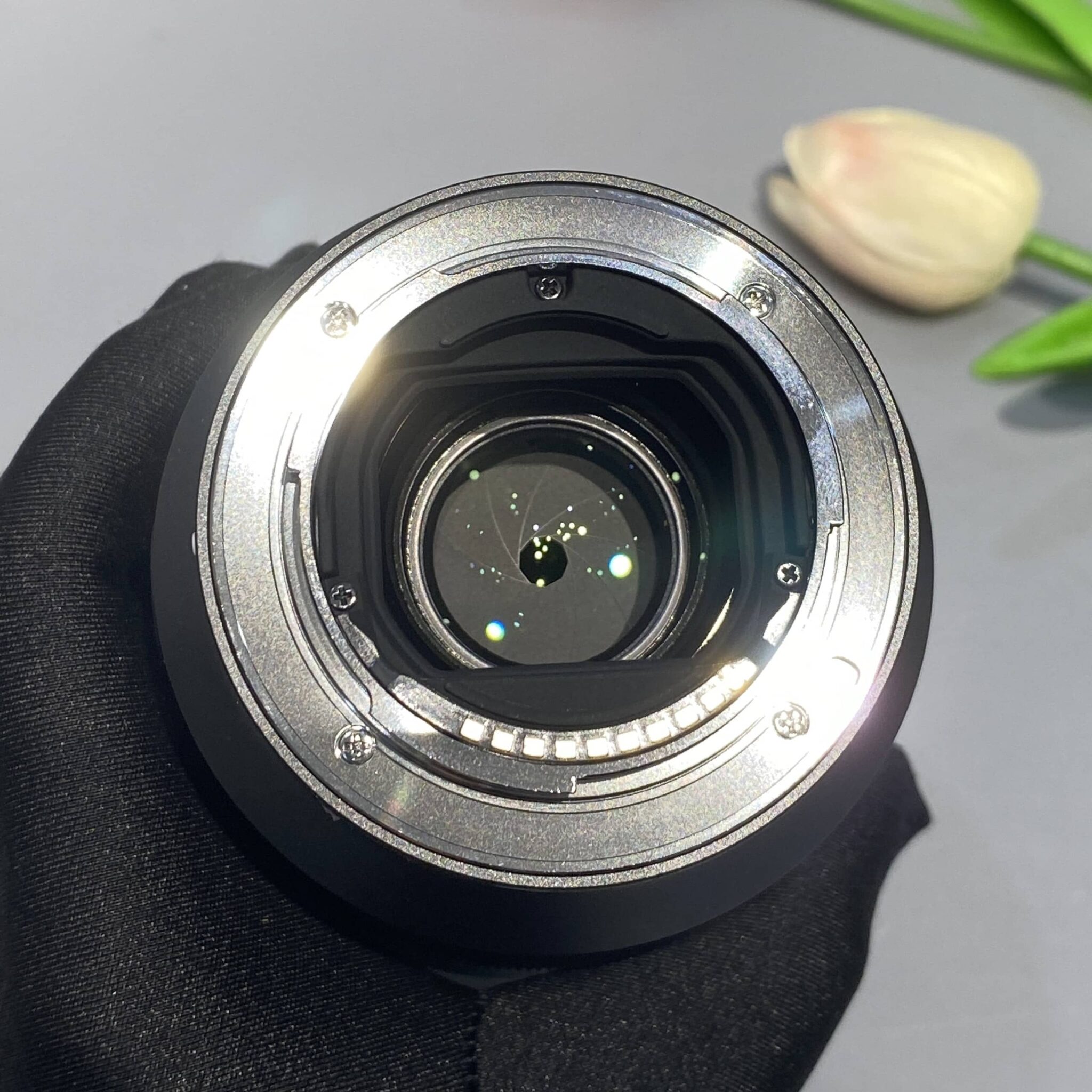 Sony FE 85mm F1.8 | 2nd #7308 - Ảnh 2