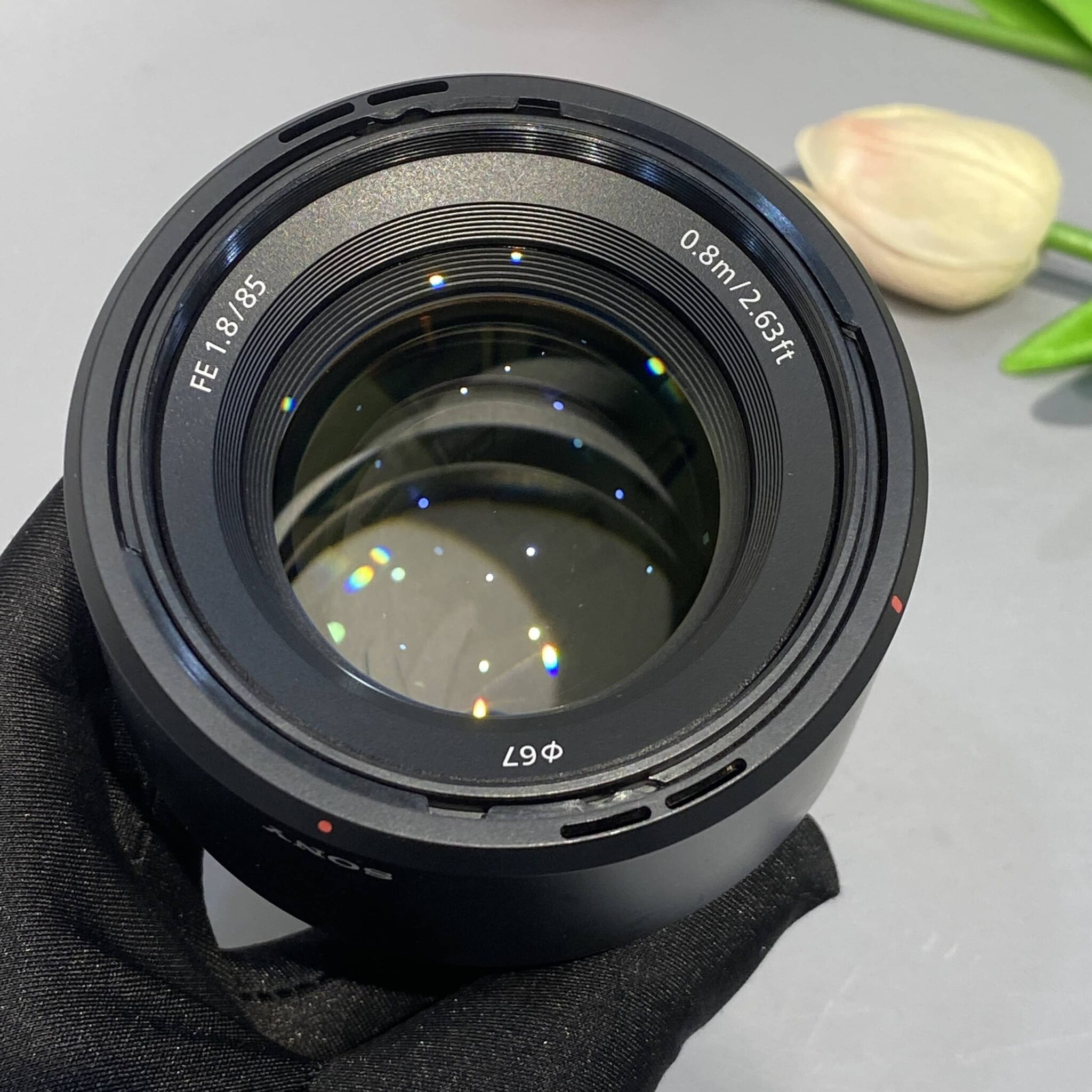 Sony FE 85mm F1.8 | 2nd #7308 - Ảnh 3