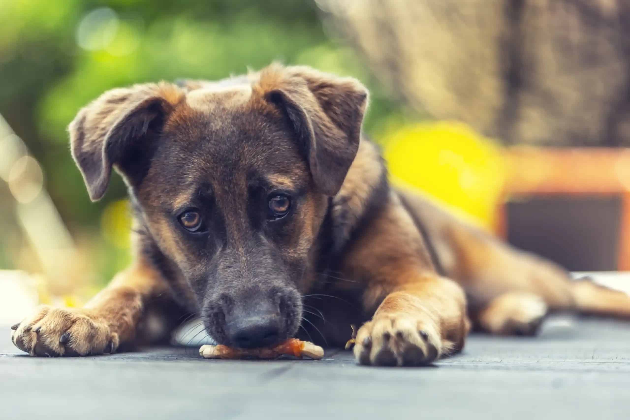 Khả năng nhận diện khuôn mặt và mắt R6 cũ giúp bạn bắt trọn những khoảnh khắc đẹp nhất