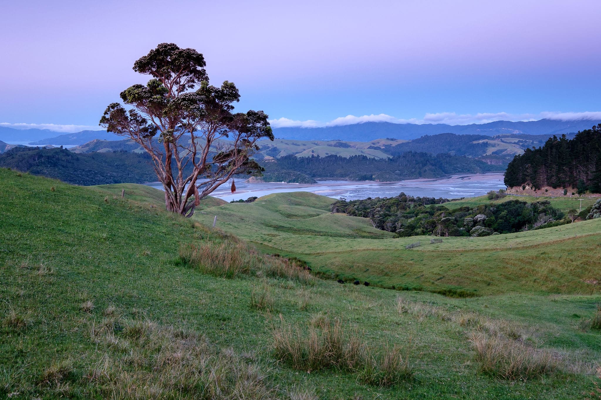 Khả năng quay video 4K UHD với tốc độ 30 khung hình/giây, giúp tạo ra những thước phim sắc nét, màu sắc chân thực.