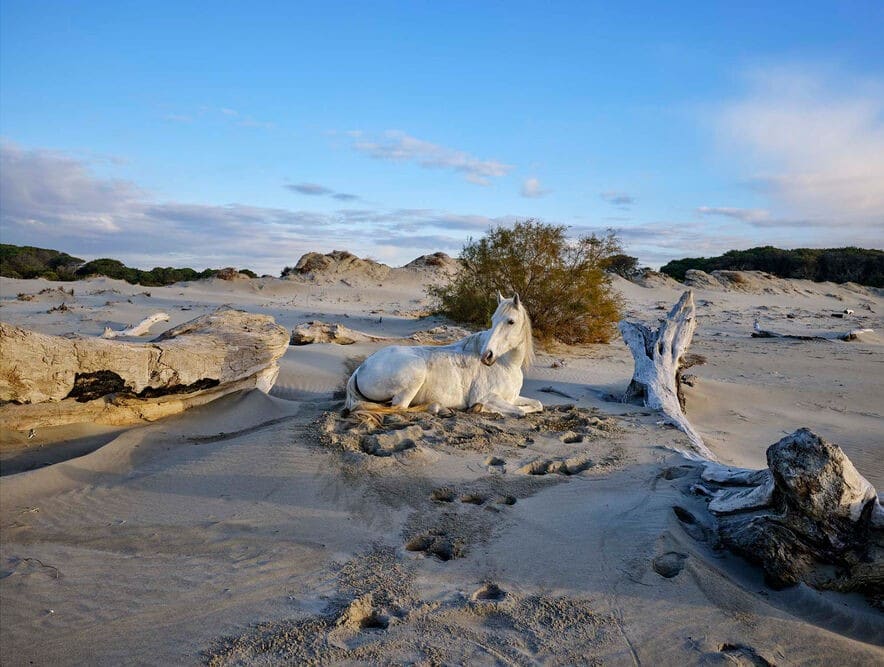 Fujifilm GFX100RF vẫn hỗ trợ quay video DCI/UHD 4K 30p với màu 10 bit, tận dụng sức mạnh cảm biến và bộ xử lý để mang lại chất lượng hình ảnh vượt trội