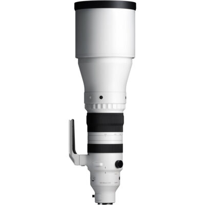 Sigma 300-600mm f/4 DG OS Sports