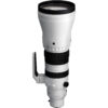 Sigma 300-600mm f/4 DG OS Sports