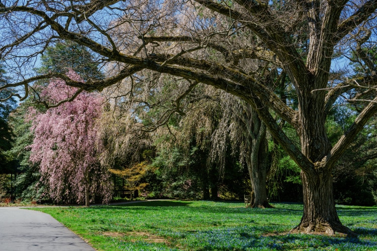 Ống kính tạo hậu cảnh mượt mà, mịn, với các điểm sáng tròn và dễ chịu ở khẩu độ lớn