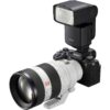 Sony FE 50-150mm f/2 GM