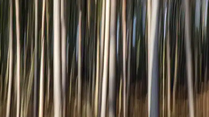  hiệu ứng nhòe chuyển động 