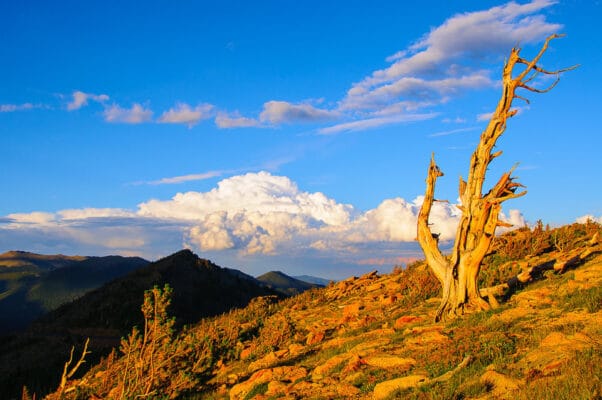 30 Quan Niệm Sai Lầm Về Nhiếp Ảnh 