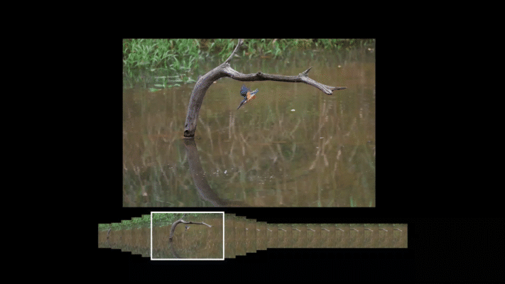 Về khả năng chụp ảnh tĩnh, Canon R6 III thể hiện hiệu suất tốc độ vượt trội. Máy đạt tốc độ chụp liên tục lên đến 40 khung hình/giây (fps) khi sử dụng màn trập điện tử im lặng, duy trì tính năng lấy nét tự động (AF) và đo sáng tự động (AE) trước mỗi khung hình