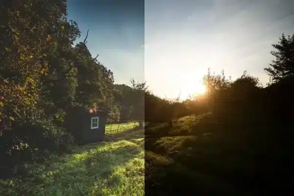 Sự Khác Biệt Giữa Ảnh RAW vs JPEG