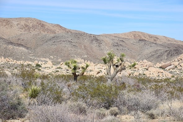 Mẹo Bảo Vệ Máy Ảnh Trong Buổi Quay Chụp Nắng Nóng