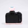 Case Canon R50