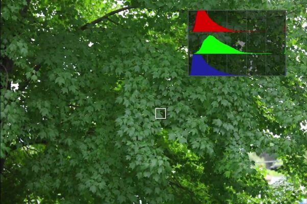 Biểu đồ histogram trong nhiếp ảnh