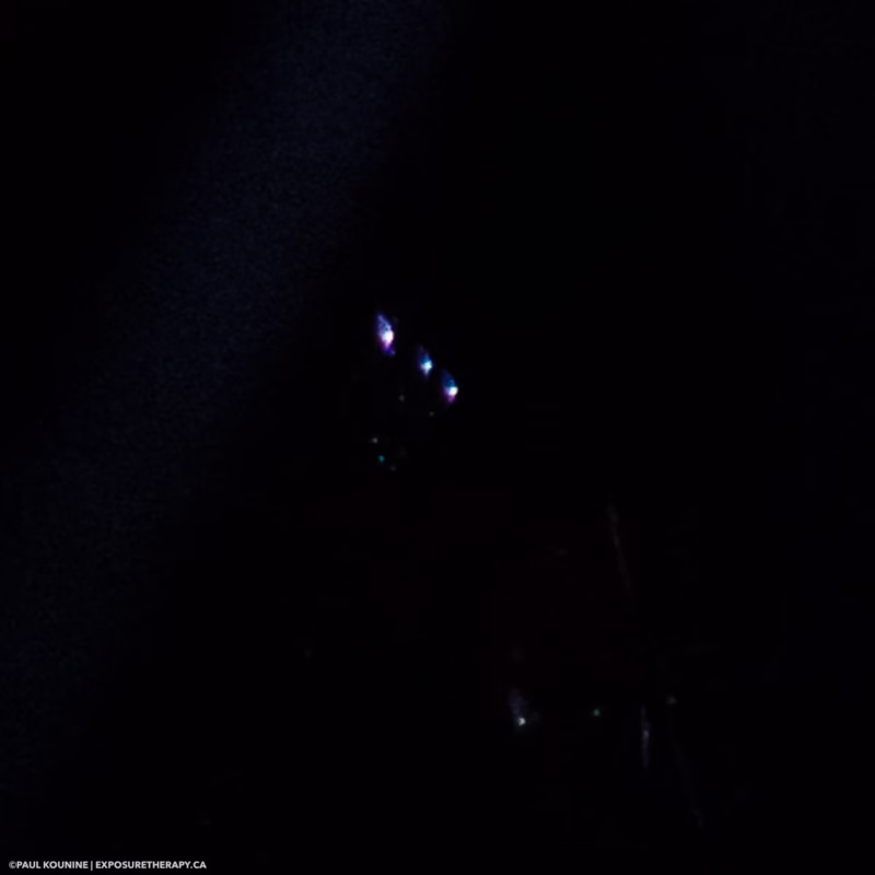 Các Lỗi Ảnh Thường Gặp Trong Nhiếp Ảnh Và Cách Khắc Phục