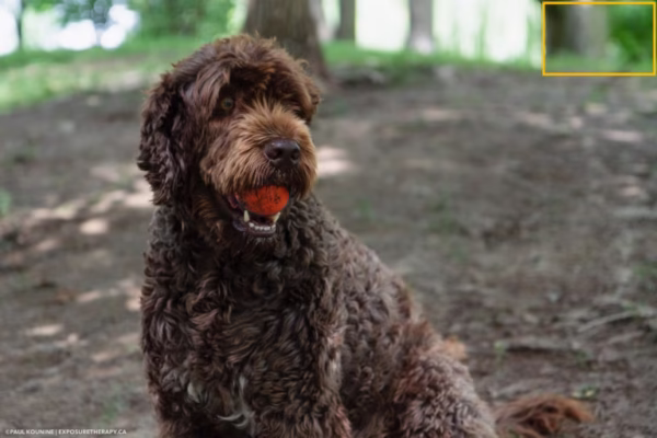 Các Lỗi Ảnh Thường Gặp Trong Nhiếp Ảnh Và Cách Khắc Phục