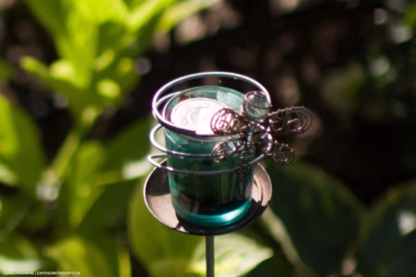 Các Lỗi Ảnh Thường Gặp Trong Nhiếp Ảnh Và Cách Khắc Phục