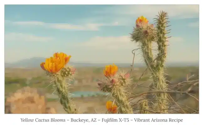 Hướng dẫn cách thêm công thức giả lập màu film trên máy ảnh Fujifilm