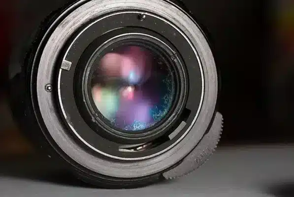 Lens bị mốc, rễ tre: Biểu hiện, nguyên nhân và cách khắc phục