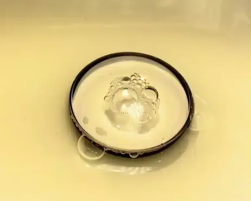 Lens bị mốc, rễ tre: Biểu hiện, nguyên nhân và cách khắc phục