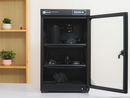 Lens bị mốc, rễ tre: Biểu hiện, nguyên nhân và cách khắc phục