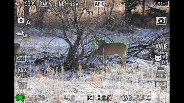 So sánh Sony A7 V vs Canon R6 III vs Nikon Z6 III