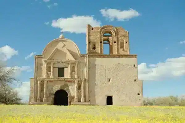 các giả lập màu film Fujifilm