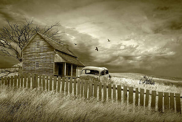 các giả lập màu film Fujifilm