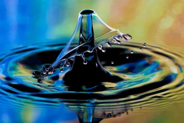 Chụp Macro là gì? Các Mẹo Chụp Macro Sắc Nét, Ấn Tượng