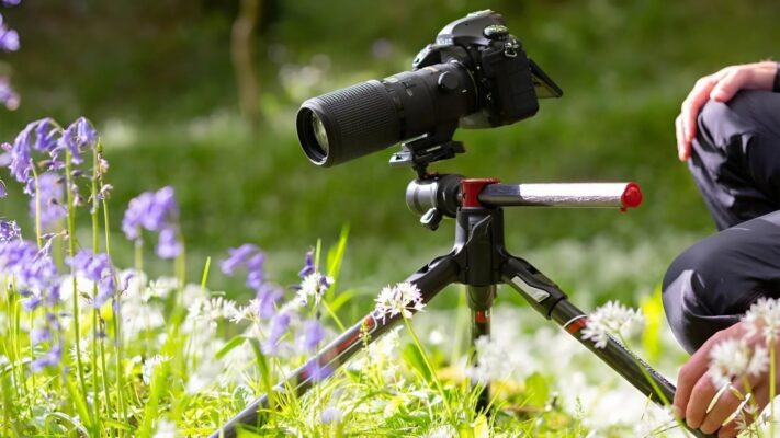 Chụp Macro là gì? Các Mẹo Chụp Macro Sắc Nét, Ấn Tượng