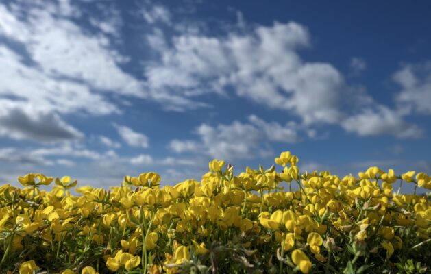 Fujifilm XF 14mm f/2.8 R