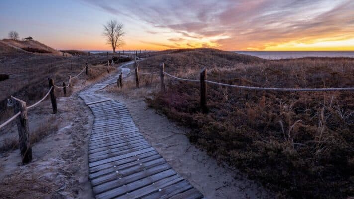 Hiệu suất lấy nét