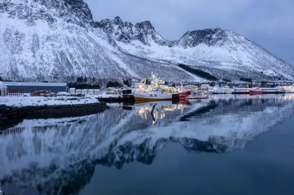 Hiệu suất quang học của Sigma 20mm f/2 DG DN