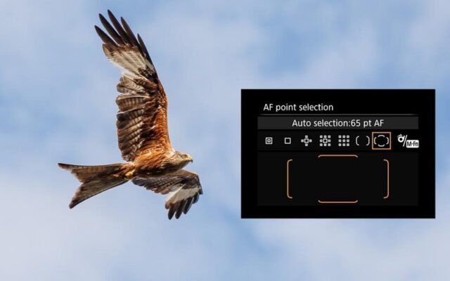Nguyên lý hoạt động của AF