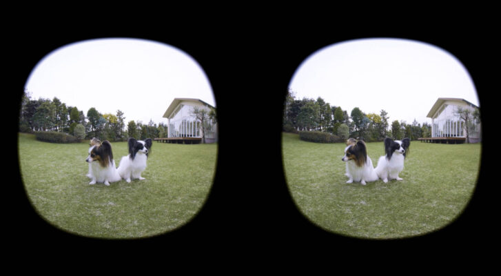 Canon RF-S 3.9mm f/3.5 STM Dual Fisheye