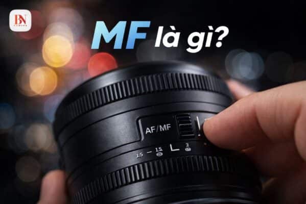 MF là gì