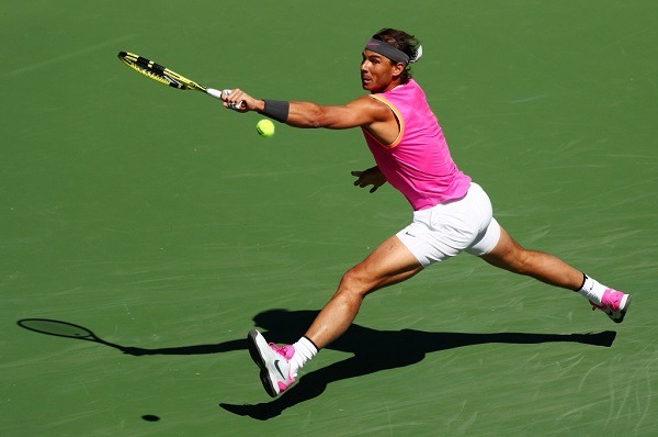 Hướng dẫn cách sử dụng MF cho người mới