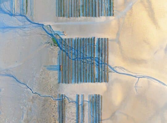 NAG Andreas Secci (Đức), Người vào chung kết, hạng mục Landscape