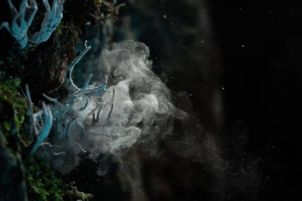 Tác phẩm ‘Explosion of Fire’ của Giovanni Vicari – Giải Bạc