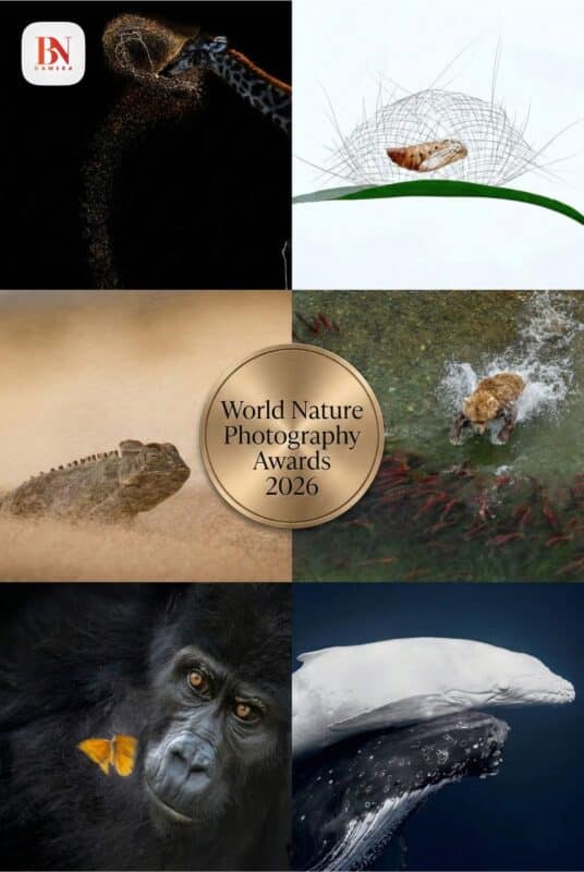 Công Bố Giải Thưởng World Nature Photography Awards 2026