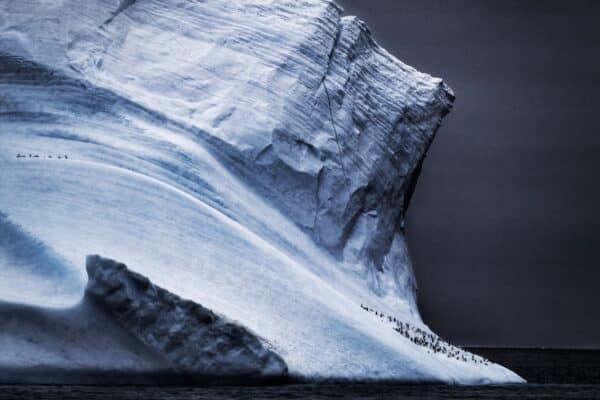 Tác phẩm ‘Between the Cracks’ của Harry Skeggs – Giải Đồng