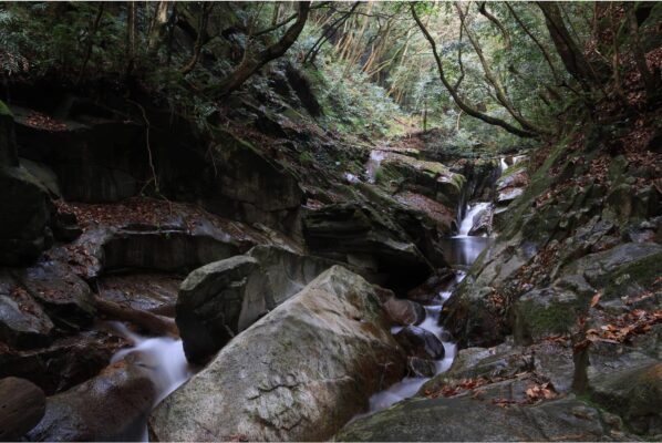 Canon RF-S 18-150mm f/3.5-6.3 IS STM