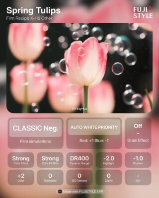 Spring Tulips