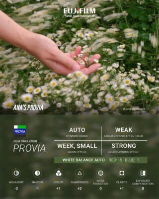 Ana's PROVIA